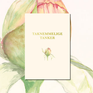 Taknemmelige Tanker - Taknemmelighedsdagbog, Creme